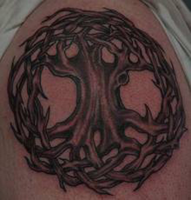 Accounting/CPA. olive leaf vine tattoo. benjamin moore eucalyptus leaf 